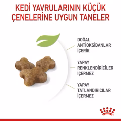 Kitten Yavru Kedi Kuru Maması