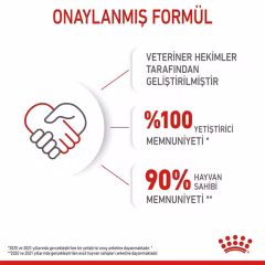 Kitten Yavru Kedi Kuru Maması