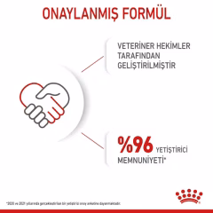 Mother And Babycat Anne ve Yavru Kedi Kuru Maması