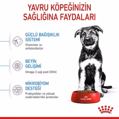 Maxi Puppy Yavru Köpek Kuru Maması