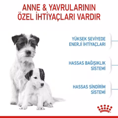 Mini Starter Yavru Köpek Kuru Maması