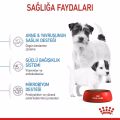 Mini Starter Yavru Köpek Kuru Maması
