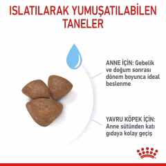 Mini Starter Yavru Köpek Kuru Maması
