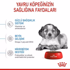 Medium Puppy Yavru Köpek Kuru Maması