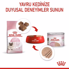 Mother And Babycat Ultra Soft Mousse Anne ve Yavru Kedi Yaş Maması