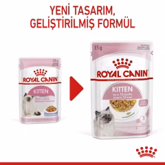 Kitten Jelly Yavru Kedi Yaş Maması
