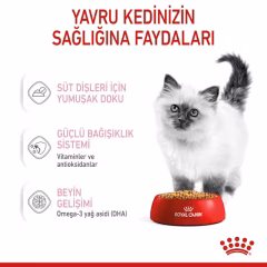 Kitten Jelly Yavru Kedi Yaş Maması