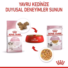 Kitten Jelly Yavru Kedi Yaş Maması