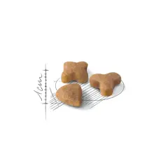 Sensible 33 Yetişkin Kedi Kuru Maması