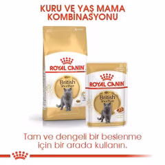 British Shorthair Adult Yetişkin Kedi Kuru Maması