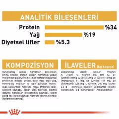 British Shorthair Adult Yetişkin Kedi Kuru Maması