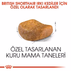 British Shorthair Adult Yetişkin Kedi Kuru Maması