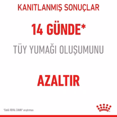 Hairball Care Yetişkin Kedi Kuru Maması
