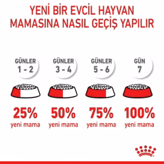 Hairball Care Yetişkin Kedi Kuru Maması