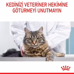 Hairball Care Yetişkin Kedi Kuru Maması
