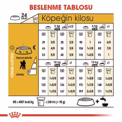 Poodle Adult Yetişkin Köpek Kuru Maması