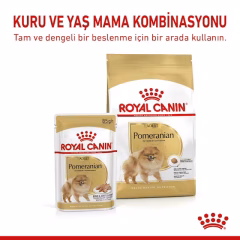 Pomeranian Adult Yetişkin Köpek Kuru Maması