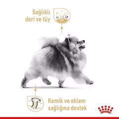 Pomeranian Adult Yetişkin Köpek Kuru Maması