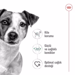 Mini Adult Yetişkin Köpek Kuru Maması