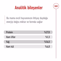 Mini Adult Yetişkin Köpek Kuru Maması