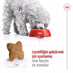 Mini Adult Yetişkin Köpek Kuru Maması