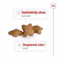 Mini Adult Yetişkin Köpek Kuru Maması