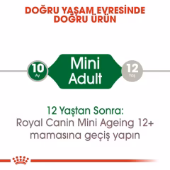 Mini Adult Yetişkin Köpek Yaş Maması