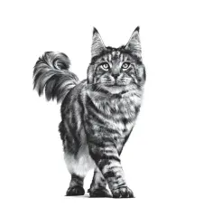 Neutered Satiety Balance Yetişkin Kedi Kuru Maması