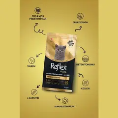 Reflex Plus British Shorthair Yavru Kedi Maması