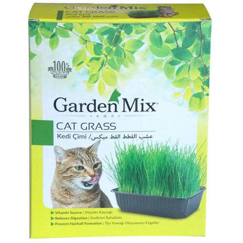 Gardenmix Kedi Çimi