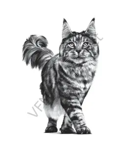 Royal Canin Gastrointestinal Fibre Response Kuru Kedi Maması 4 Kg