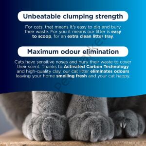 Ever Clean Lavender Lavanta Kokulu Kedi Kumu 10 Lt